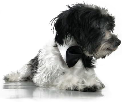 Официален папийонка и Яка Platinum Pets за Кучета, Бяло и Черно