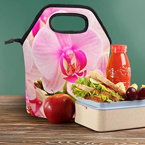 HEOEH Розови Орхидеи Цъфтят Чанта за Обяд Чанта-Хладилник Изолирани Обяд-Апарати с Цип Чанта за Училище Офис на Открито