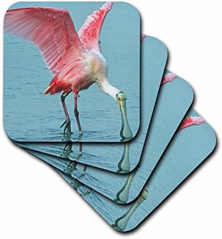 3dRose CST_35348_1 Розова Тропическа птица-Колпица със затворена горна част-Меки подложки, комплект от 4